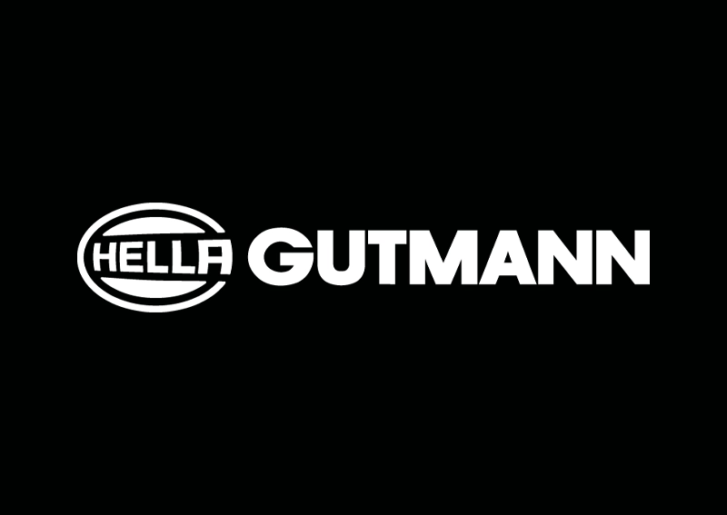 hella gutmann solutions diagnose kassel